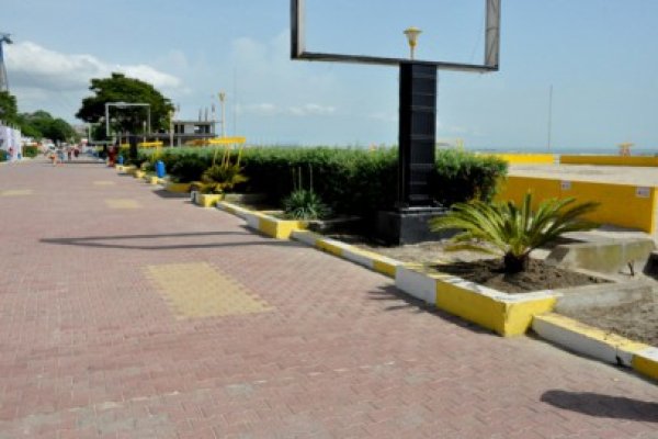 Palmierii, nelipsiţi în staţiunea Mamaia